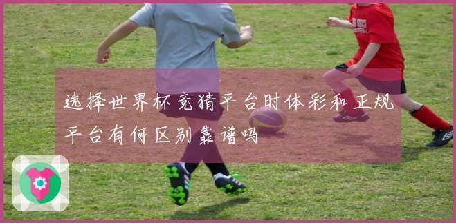 选择世界杯竞猜平台时体彩和正规平台有何区别靠谱吗